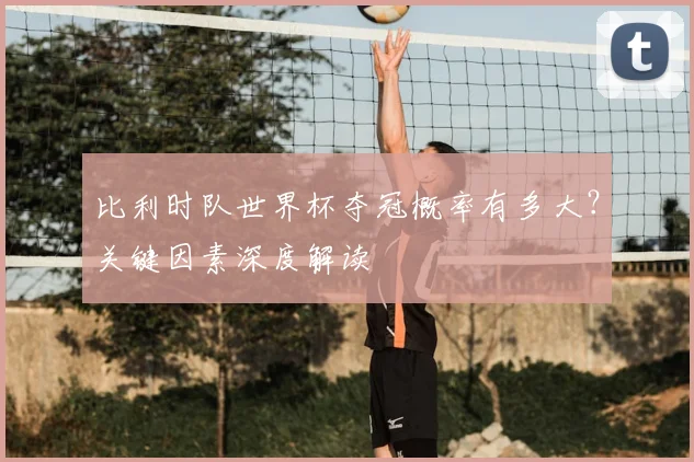 比利时队世界杯夺冠概率有多大？关键因素深度解读