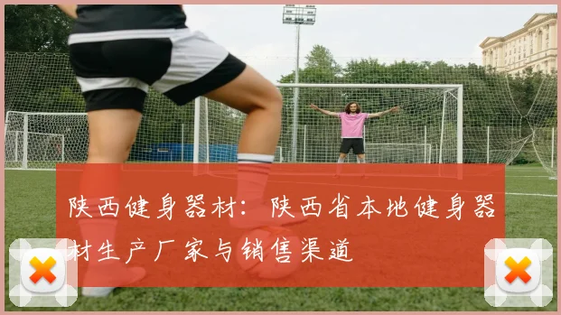 陕西健身器材:陕西省本地健身器材生产厂家与销售渠道