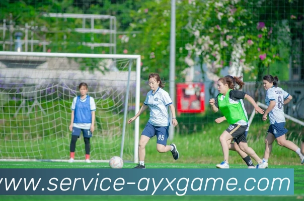 多媒体互动体验